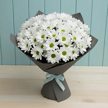 Букет цветов из:  Хризантемы #REPLACE_PRED# Журавне