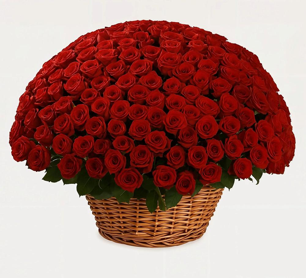 Премиум букет из: Розы в Журавне