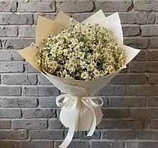 Букет цветов из:  Ромашки в Журавне