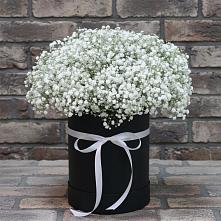 Цветочная композиция из Гипсофила в шляпной коробке #REPLACE_PRED# Журавне